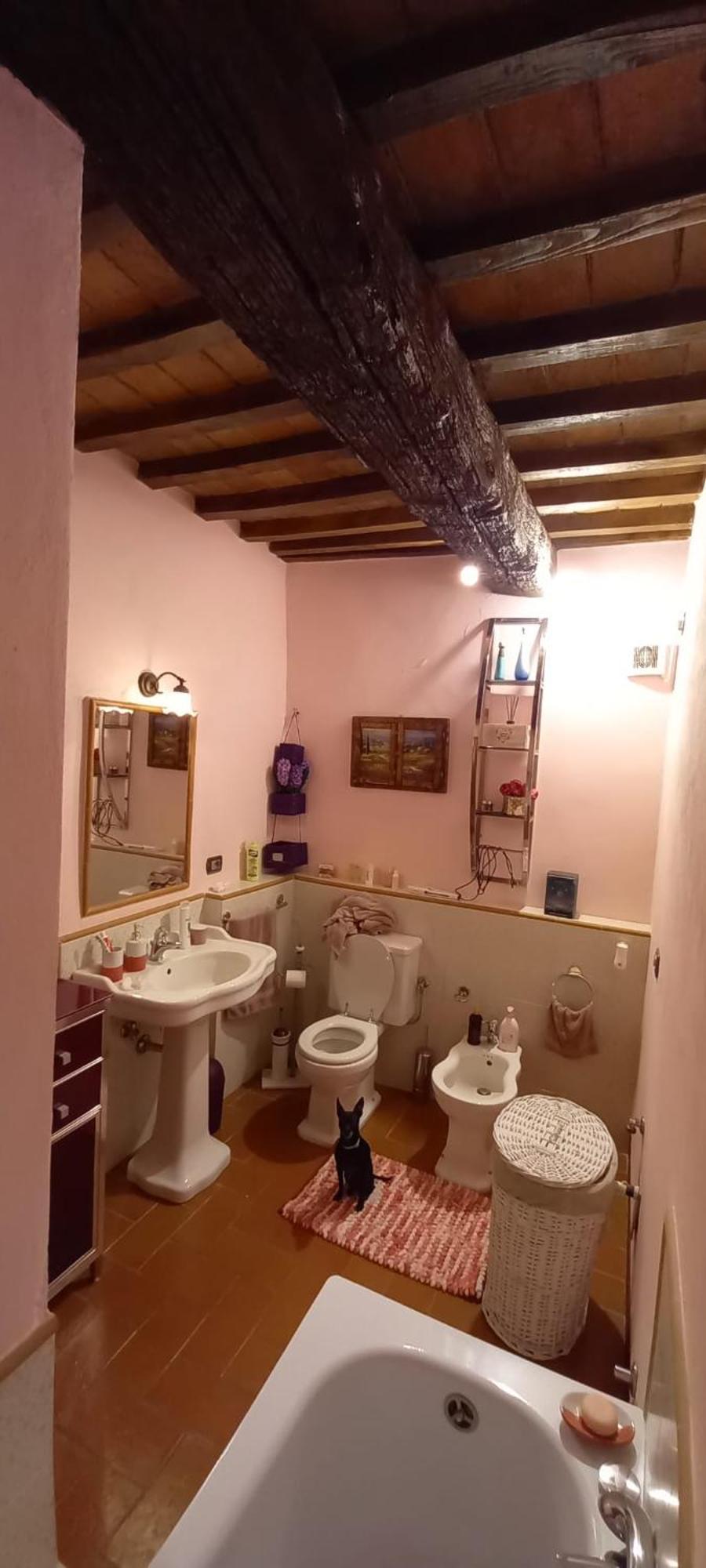 Cottage Le Ginestre Con Piscina In Val D'Orcia Radicofani Eksteriør billede